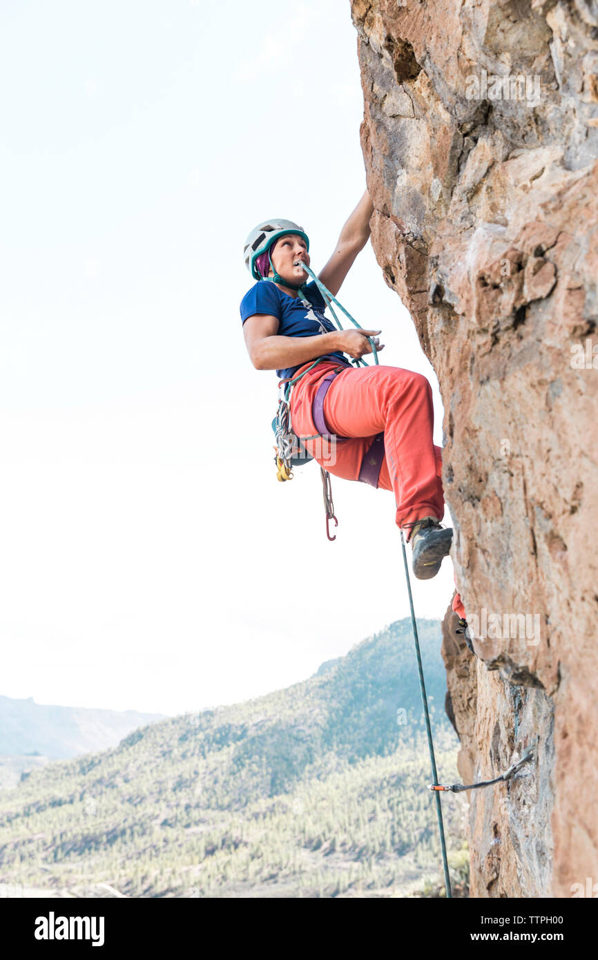 Low angle view of female hiker using rope while climbing on mountain ...