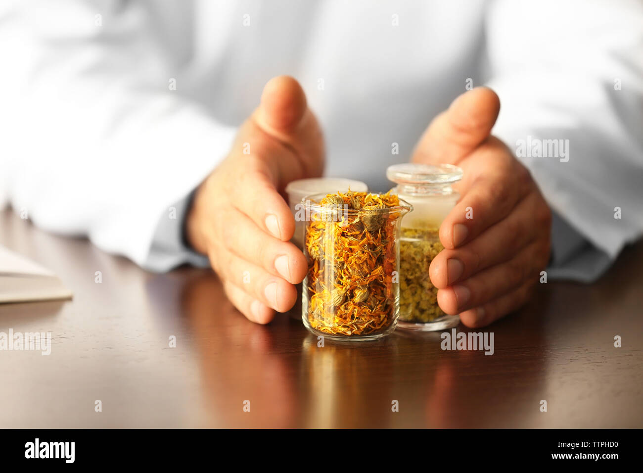 Male doctor hands with medical herbs Stock Photo