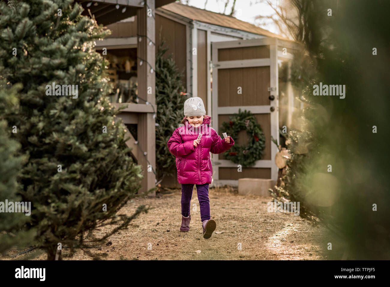Cheerful girl holding candy canes walking by christmas Trees at yard Stock Photo