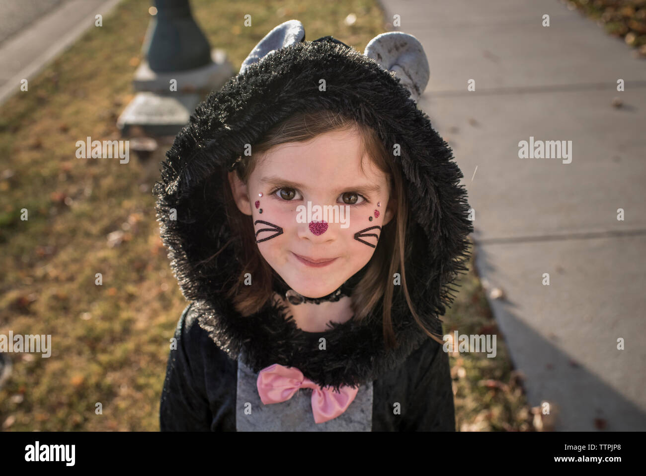 Portrait of cute girl wearing cat costume standing on lawn during ...