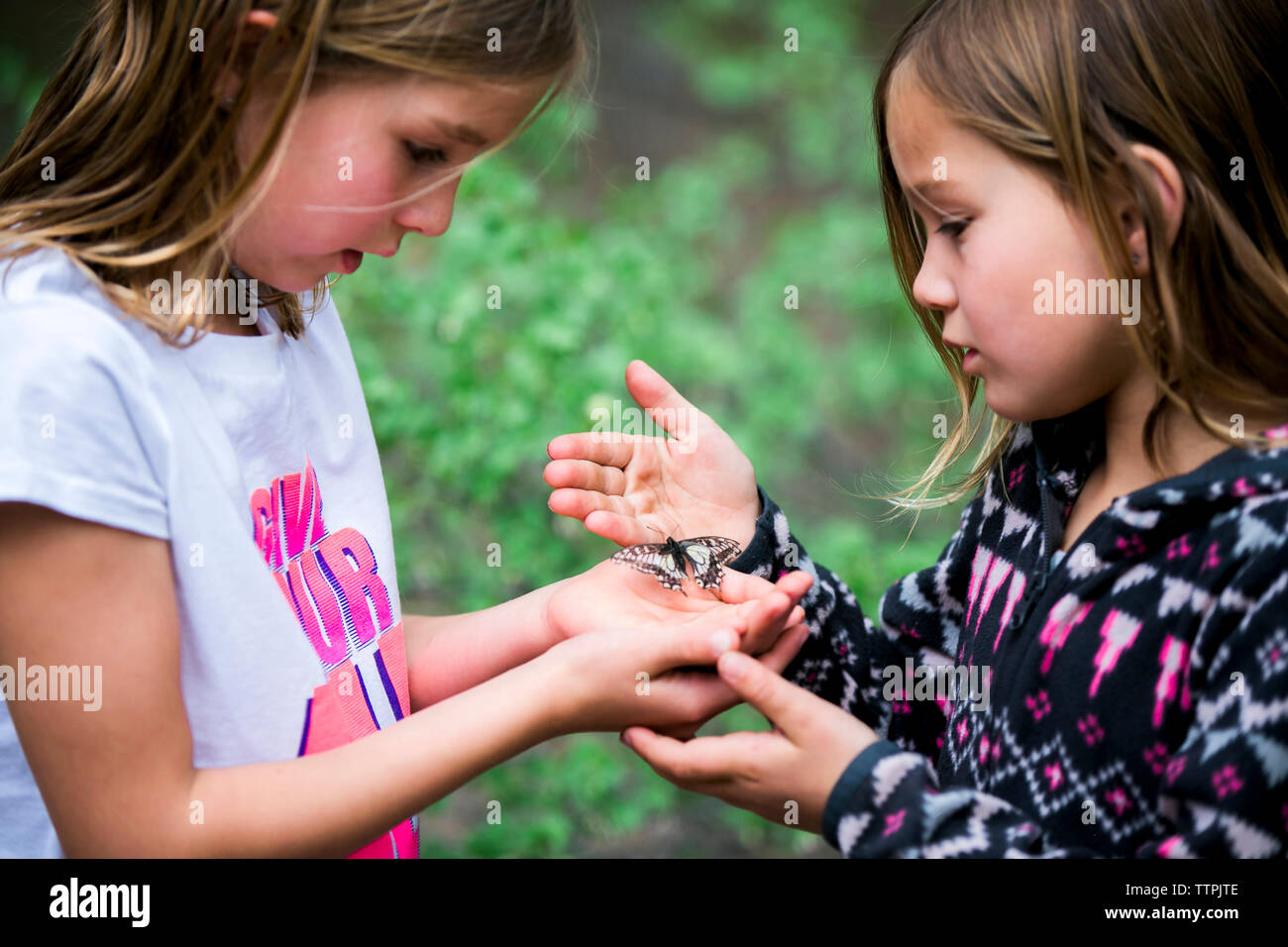 Girls looking at butterfly while standing on field Stock Photo