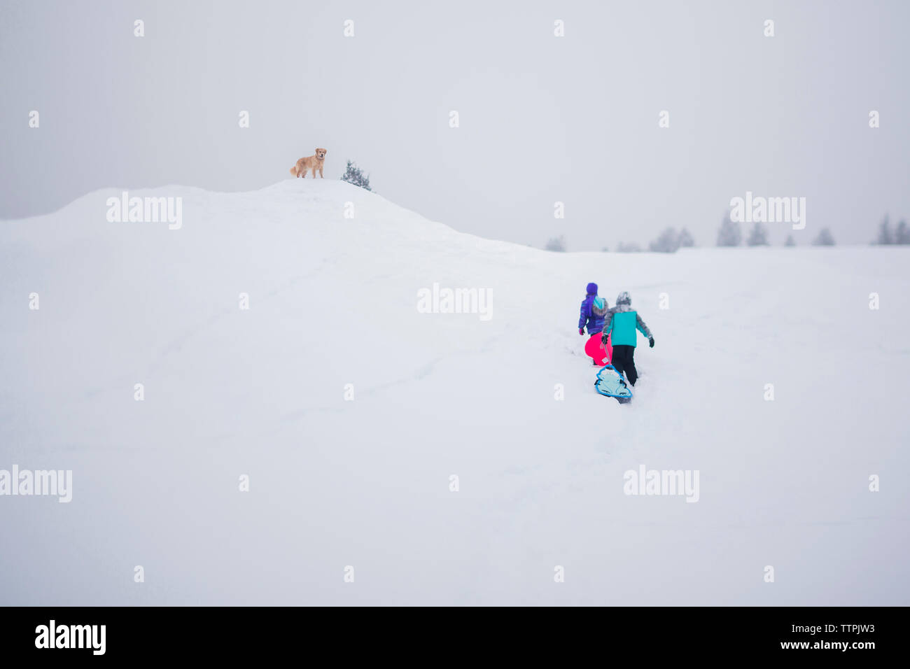 Rear view of girls carrying sleds while walking on snow covered field Stock Photo
