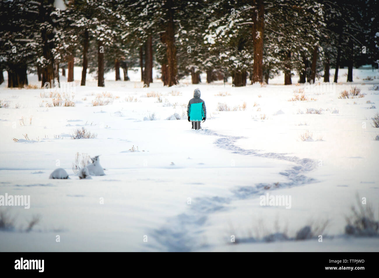 Rear view girl hood hi-res stock photography and images - Alamy