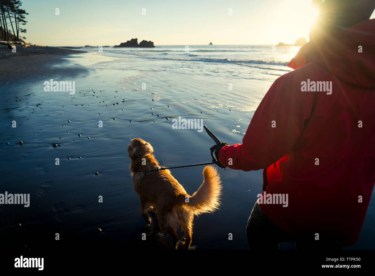 Back view male hiker walking hi-res stock photography and images - Alamy
