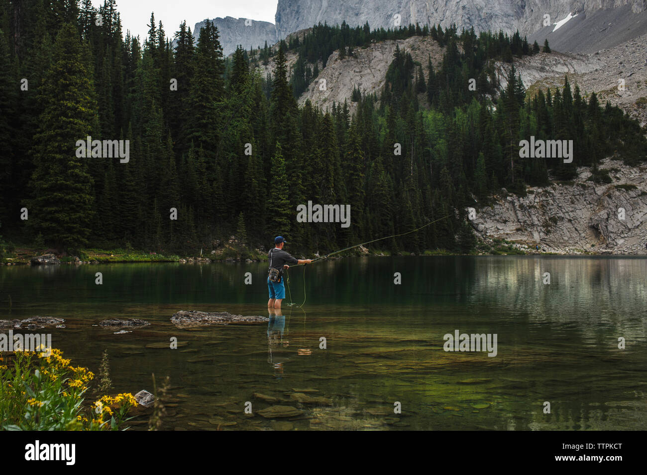 Hiker casting fishing line in lake against mountains at forest Stock Photo