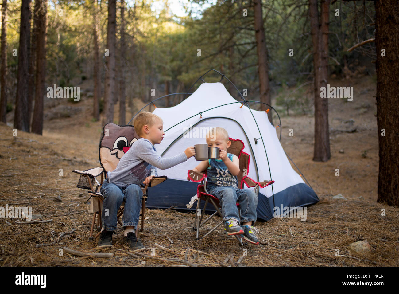Siblings toasting mugs while sitting on chairs against tent in forest Stock Photo