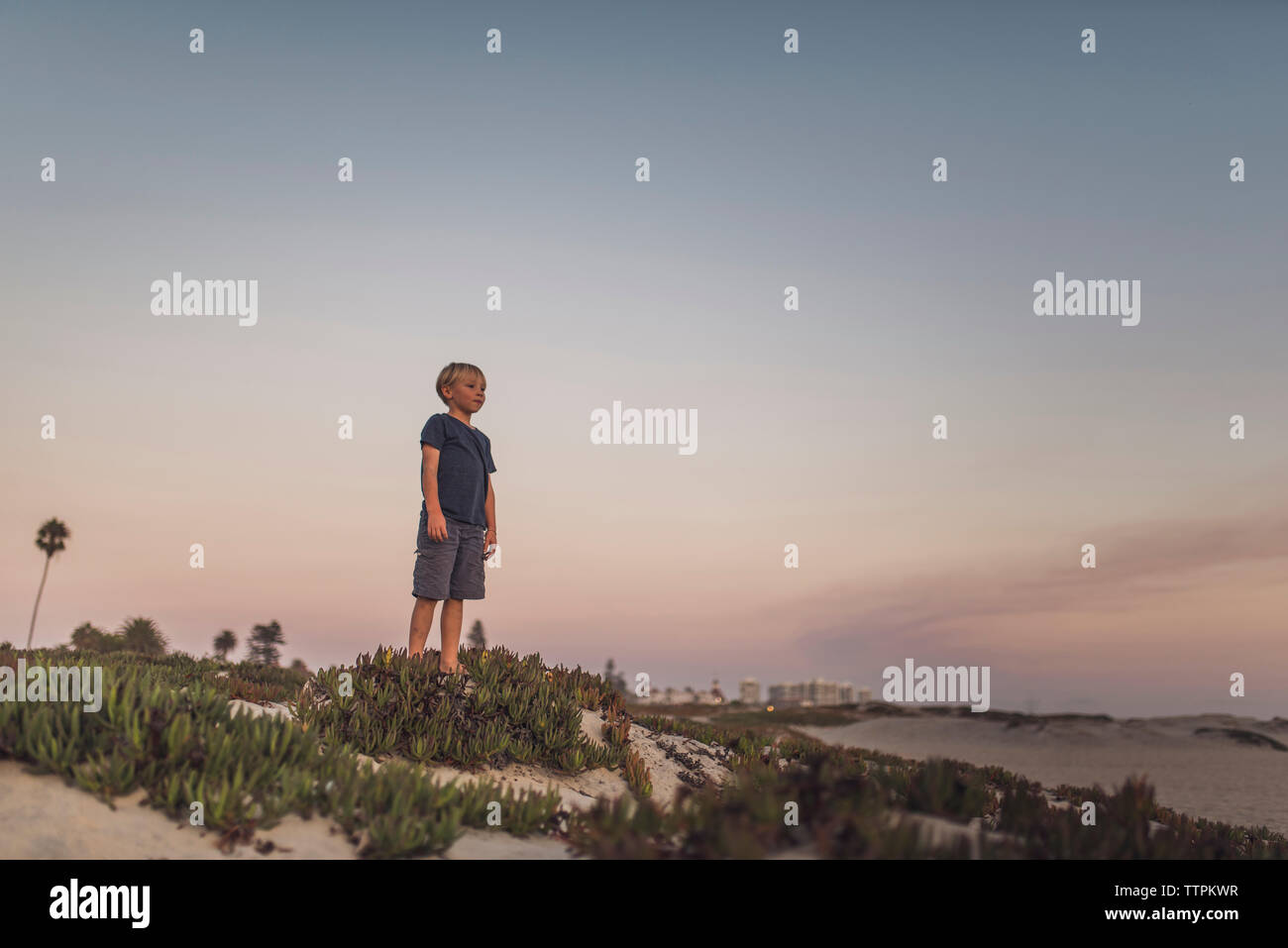 Full length of boy standing on sand at beach against sky during sunset Stock Photo