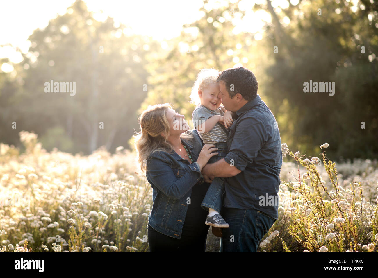 Happy family on field during sunny day Stock Photo