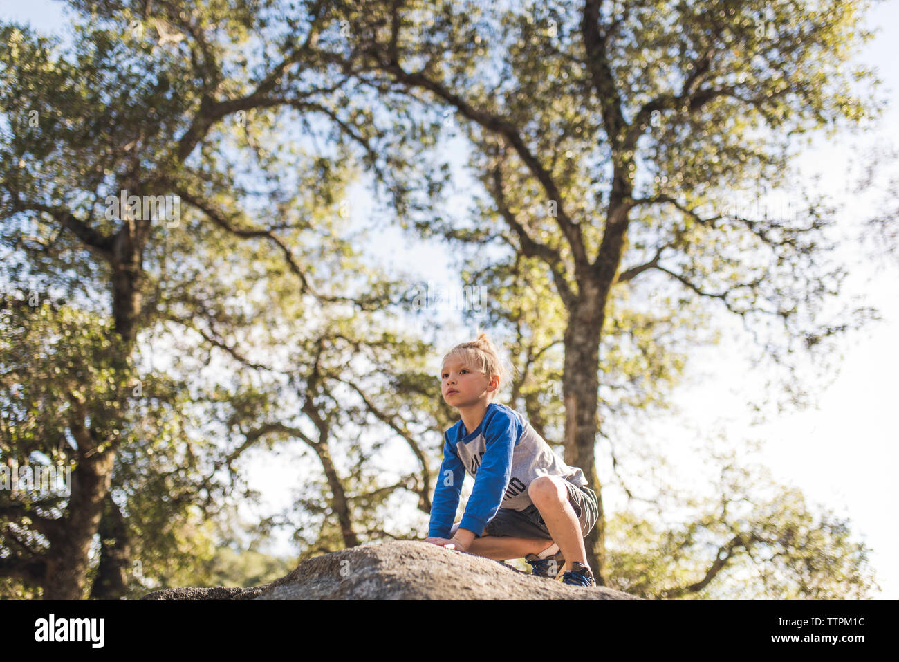 Low angle view of boy looking away while sitting on rock against trees Stock Photo