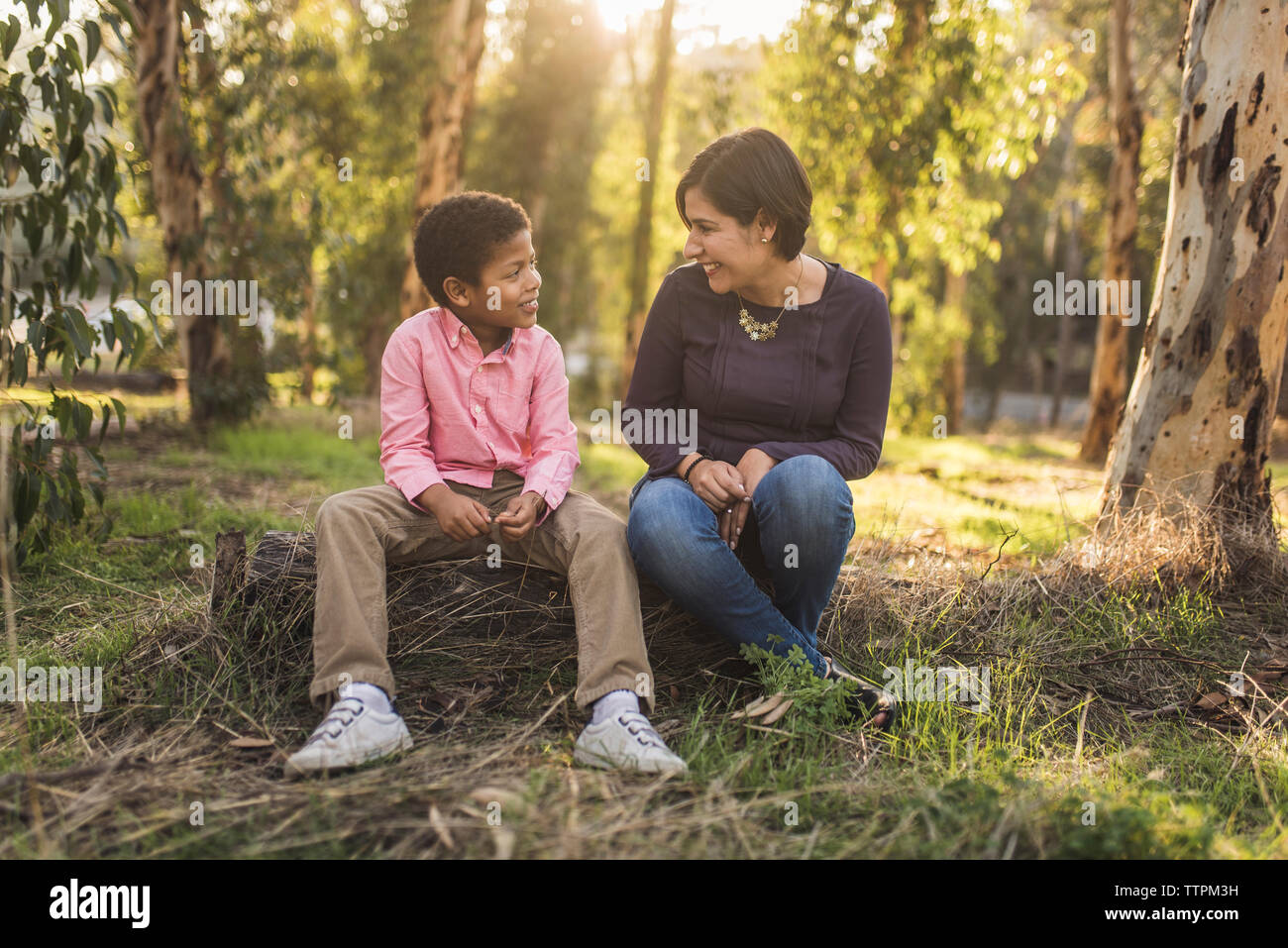 Mother and son talking while sitting in forest Stock Photo