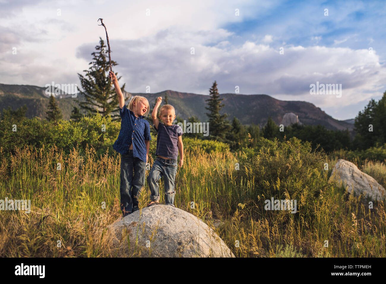 Playful brothers with arms raised standing on rock against mountains Stock Photo