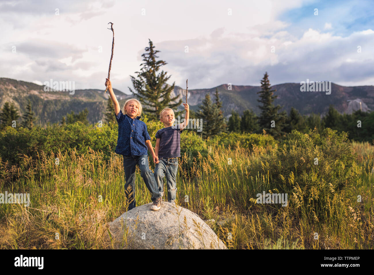 Playful brothers with arms raised holding sticks while standing on rock against mountains Stock Photo