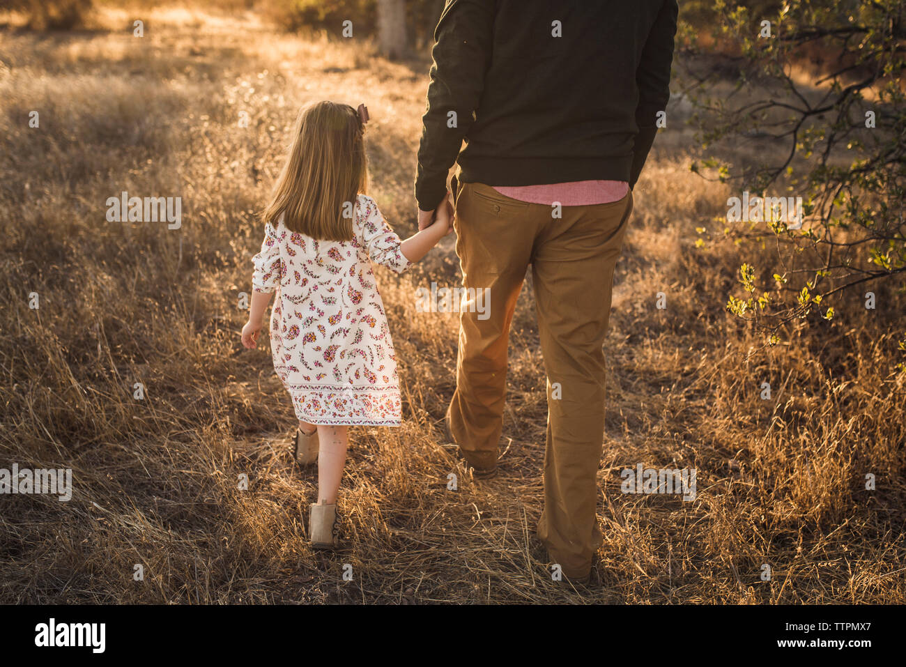 Father and daughter walking holding hands in California field Stock Photo