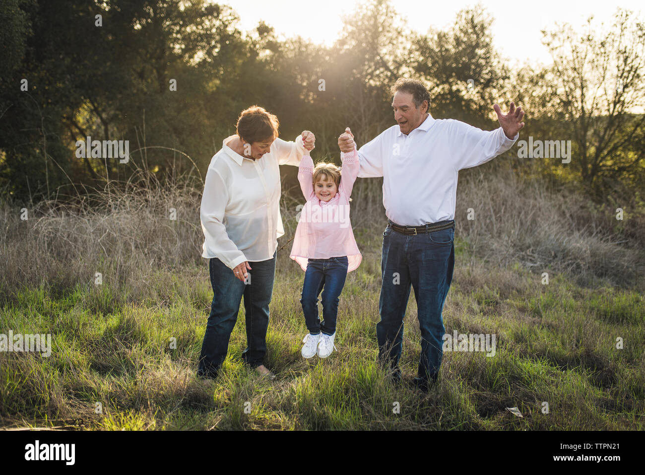 Grandparents swinging granddaughter in field Stock Photo