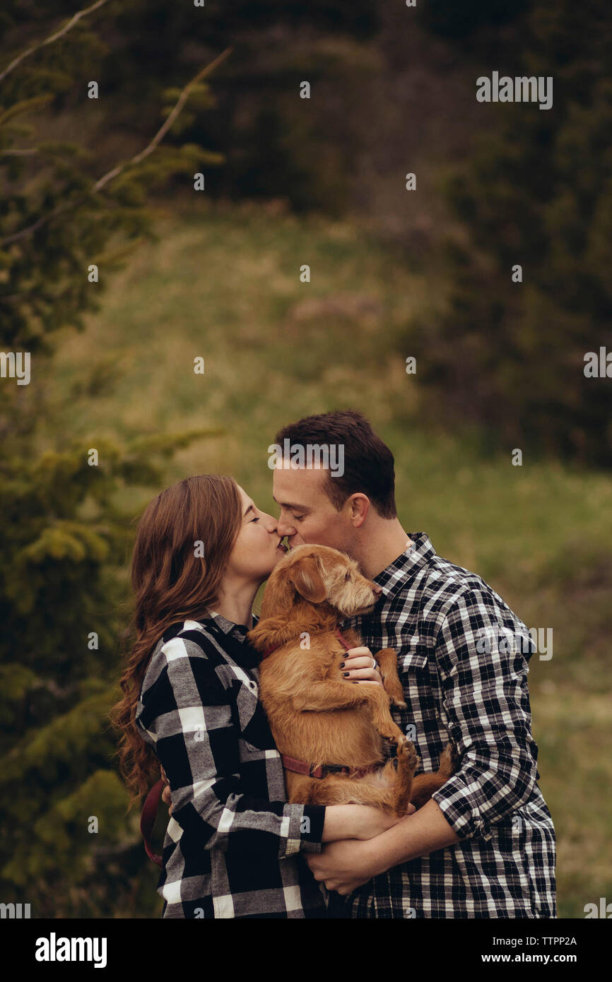 Why Do Dogs Kiss On The Lips