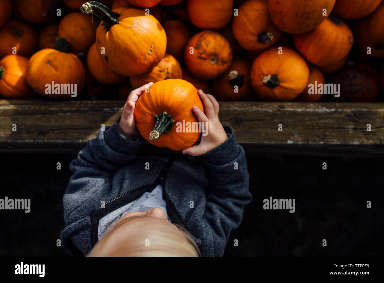 High angle view of boy holding pumpkin Stock Photo