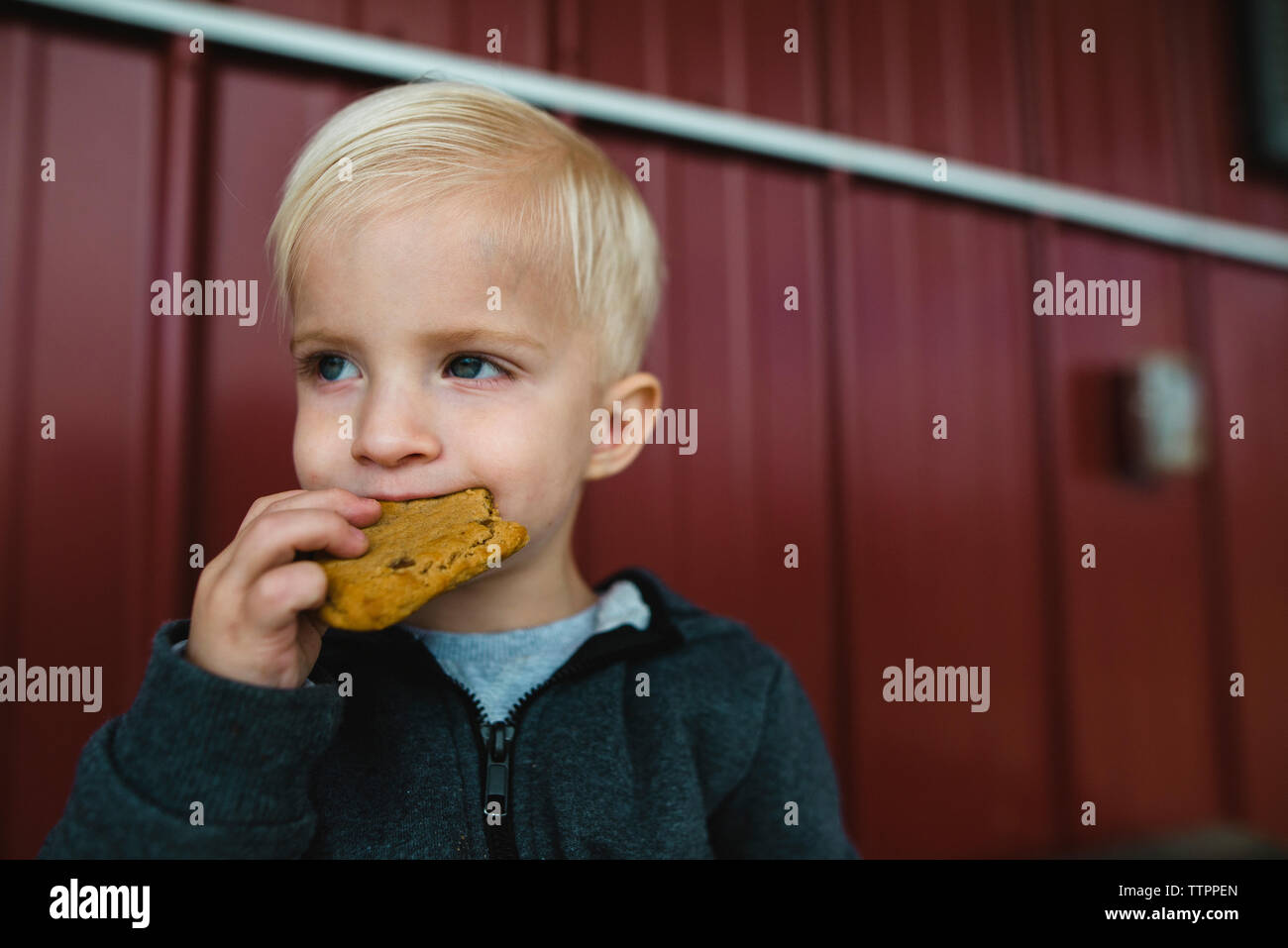 Close-up of boy eating food Stock Photo