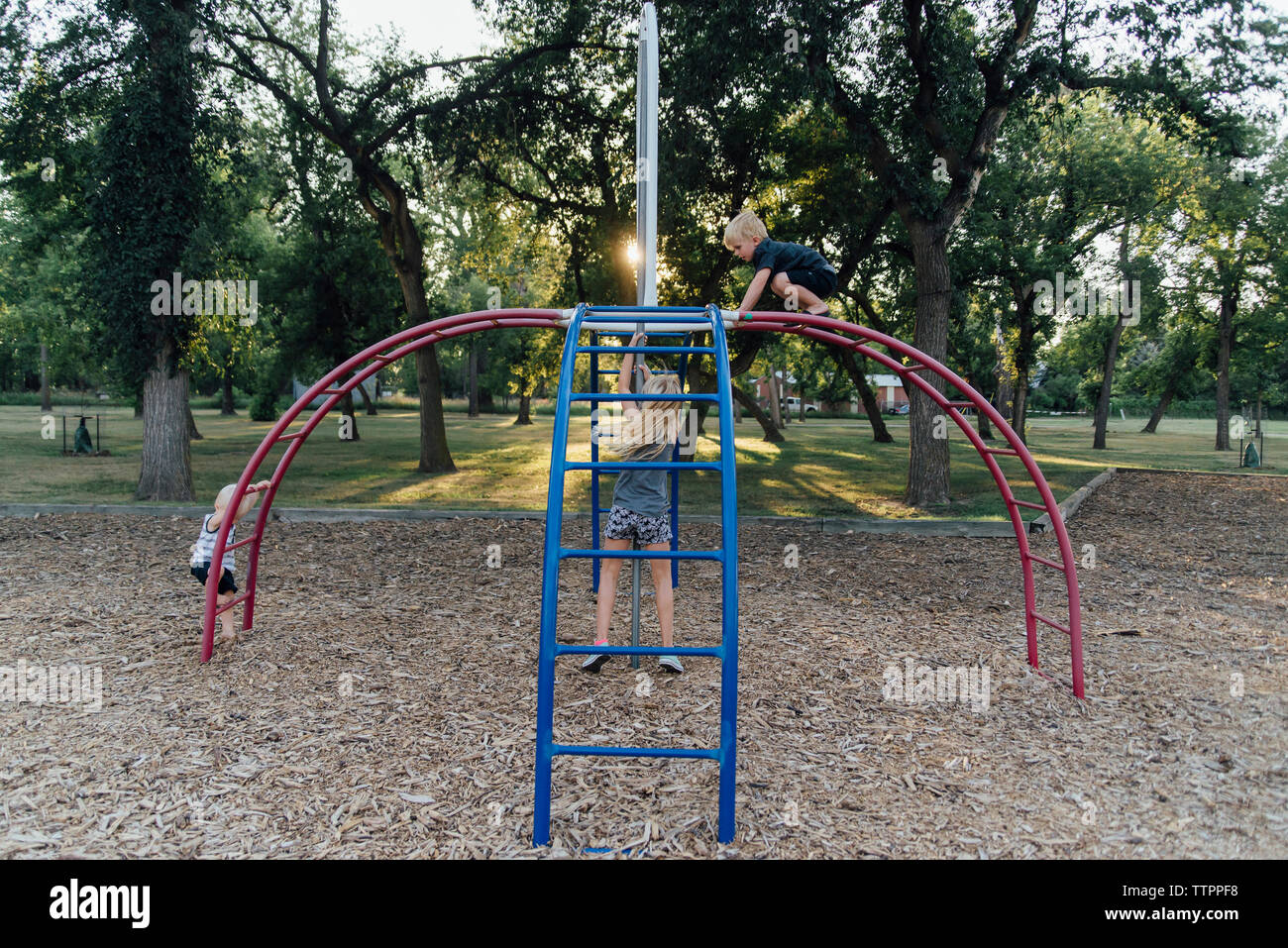 Siblings playing on monkey bars at playground Stock Photo