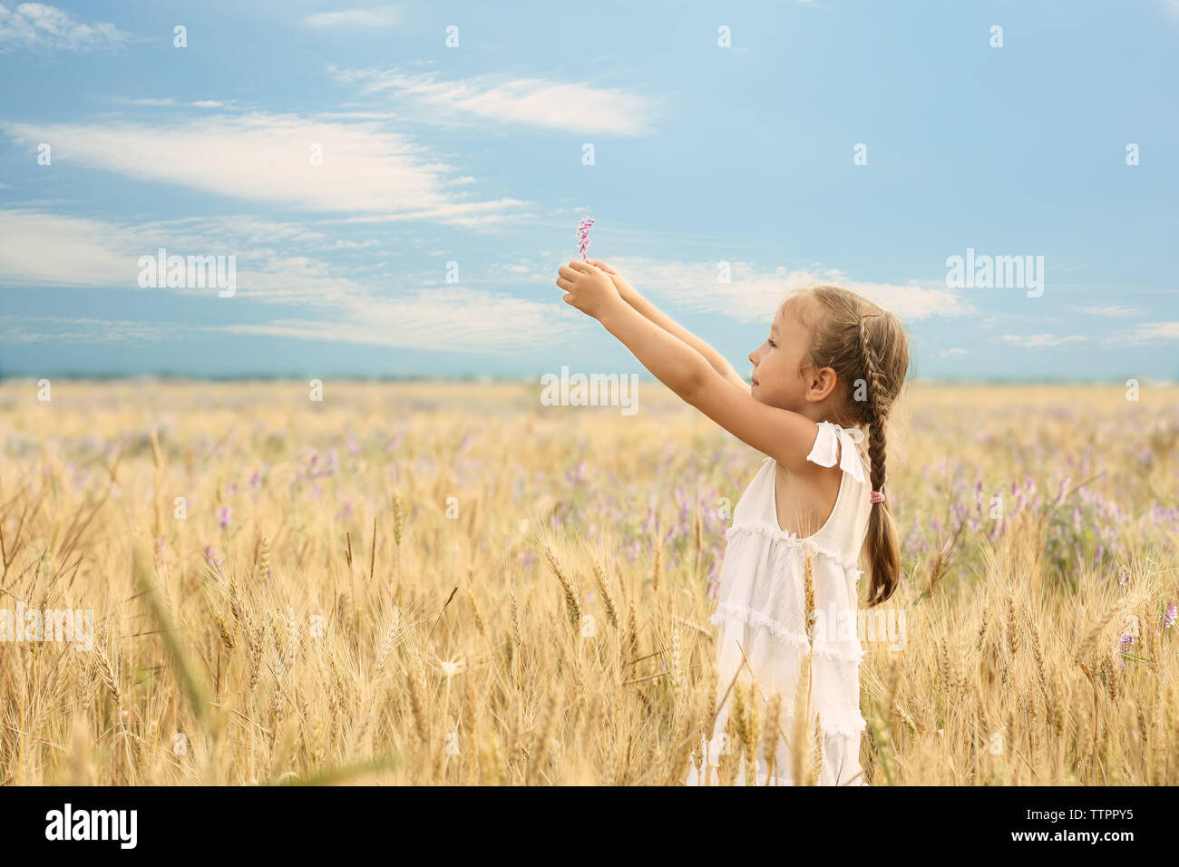 Happy little girl in the field Stock Photo - Alamy