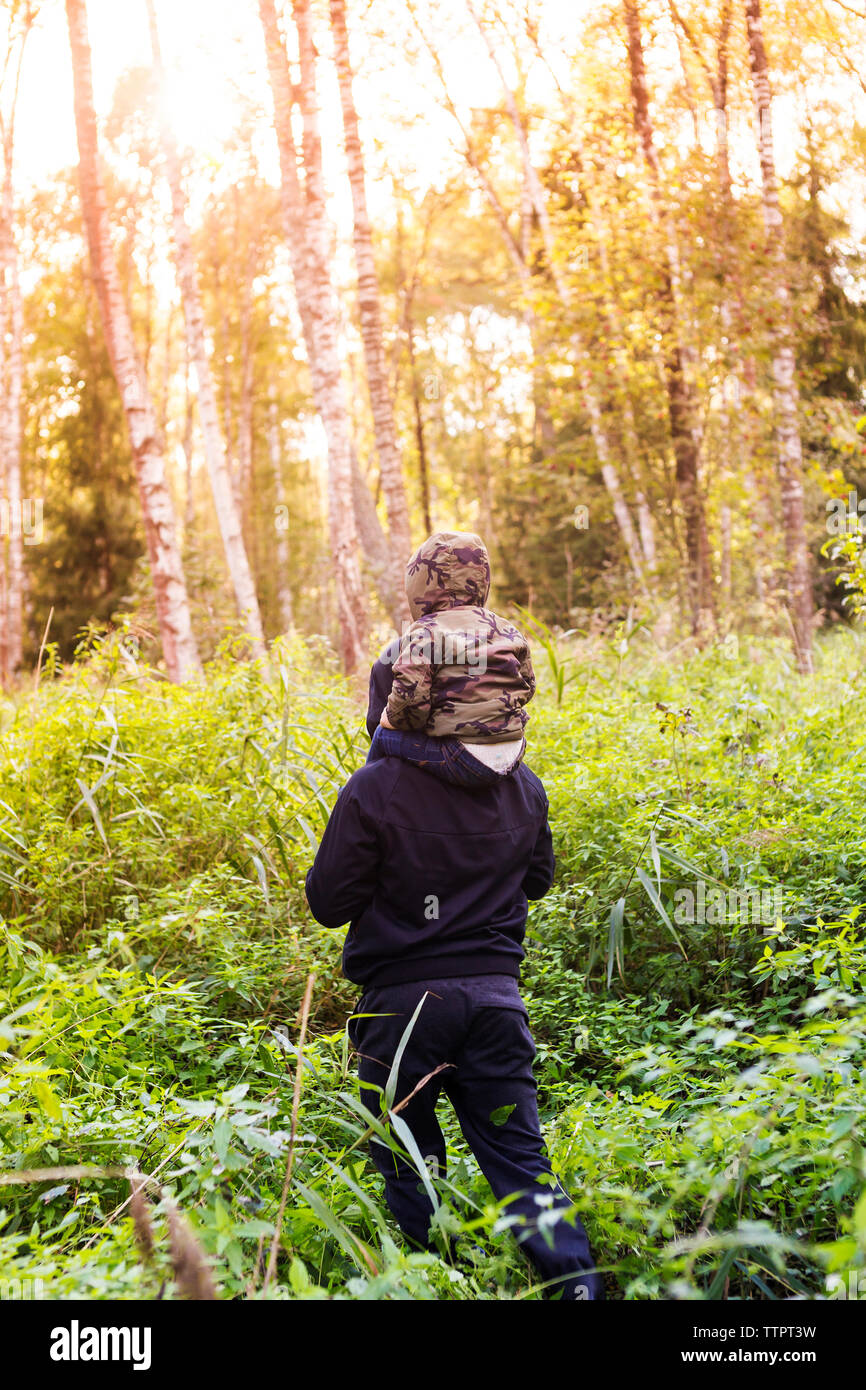 Father and son hiking in forest. Looking at map Stock Photo - Alamy