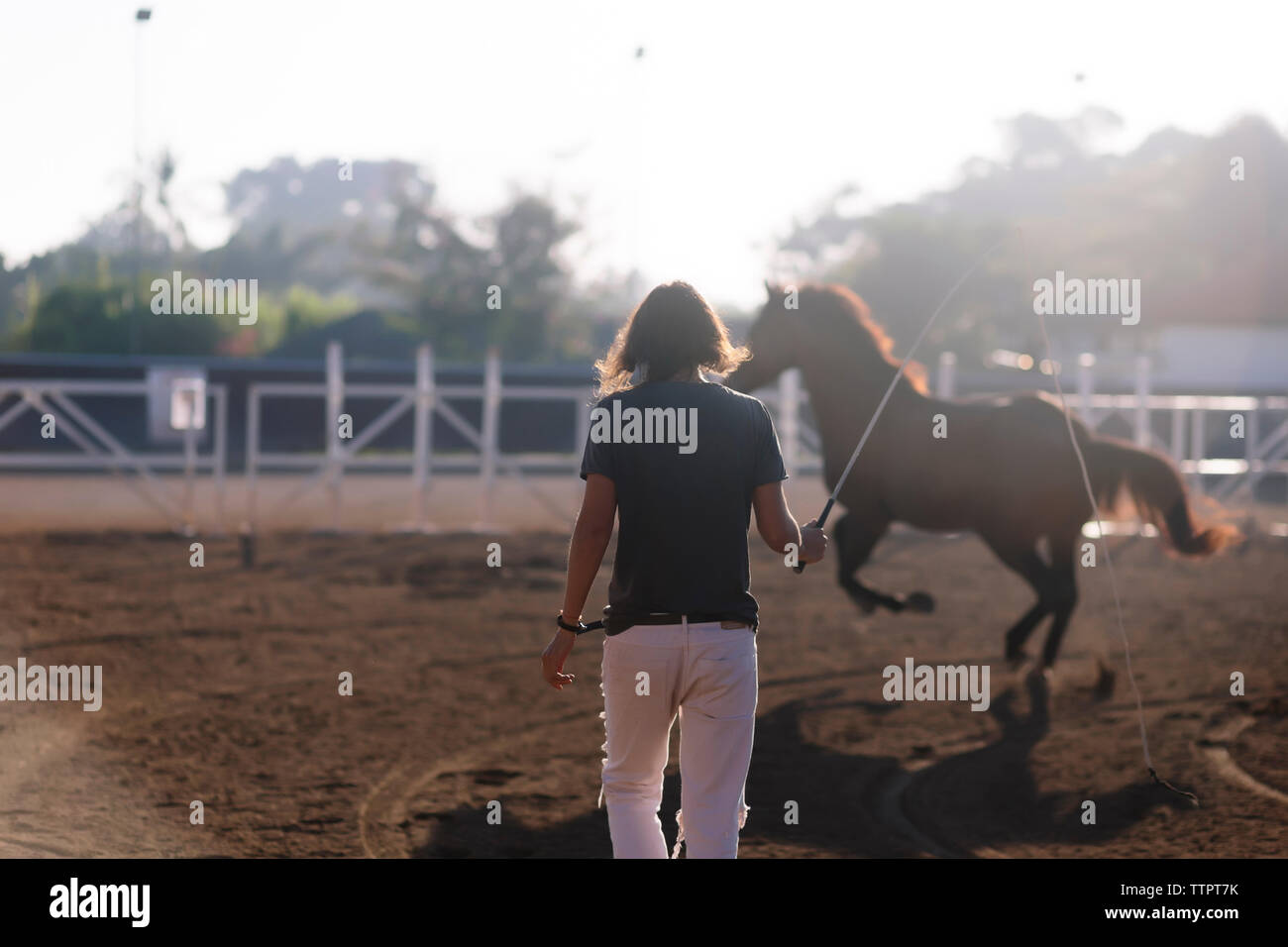 Rear view of woman training horse at ranch Stock Photo
