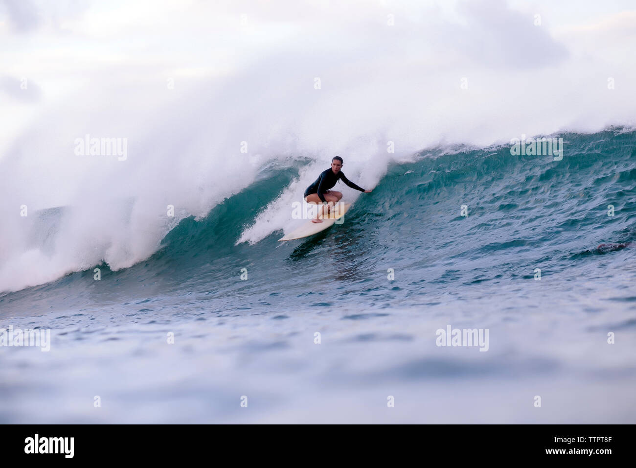 Woman surfing hi-res stock photography and images - Alamy