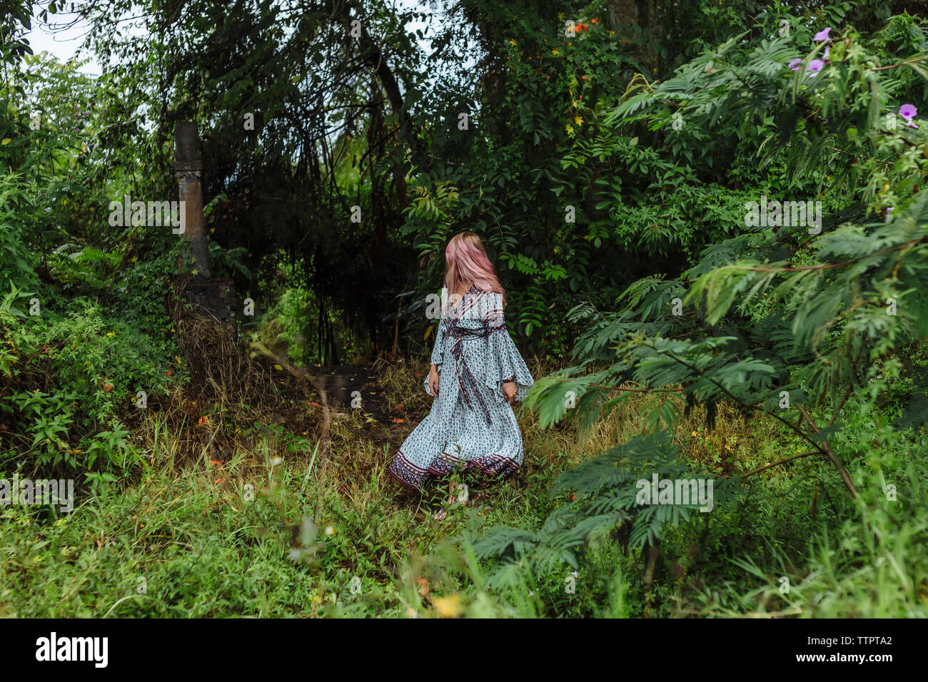 Woman in dress walking at forest Stock Photo