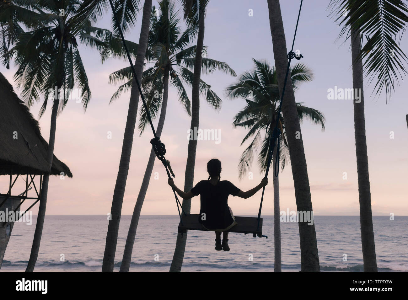 Rear view of young woman swinging on rope swing against coconut palm trees at beach during sunset Stock Photo