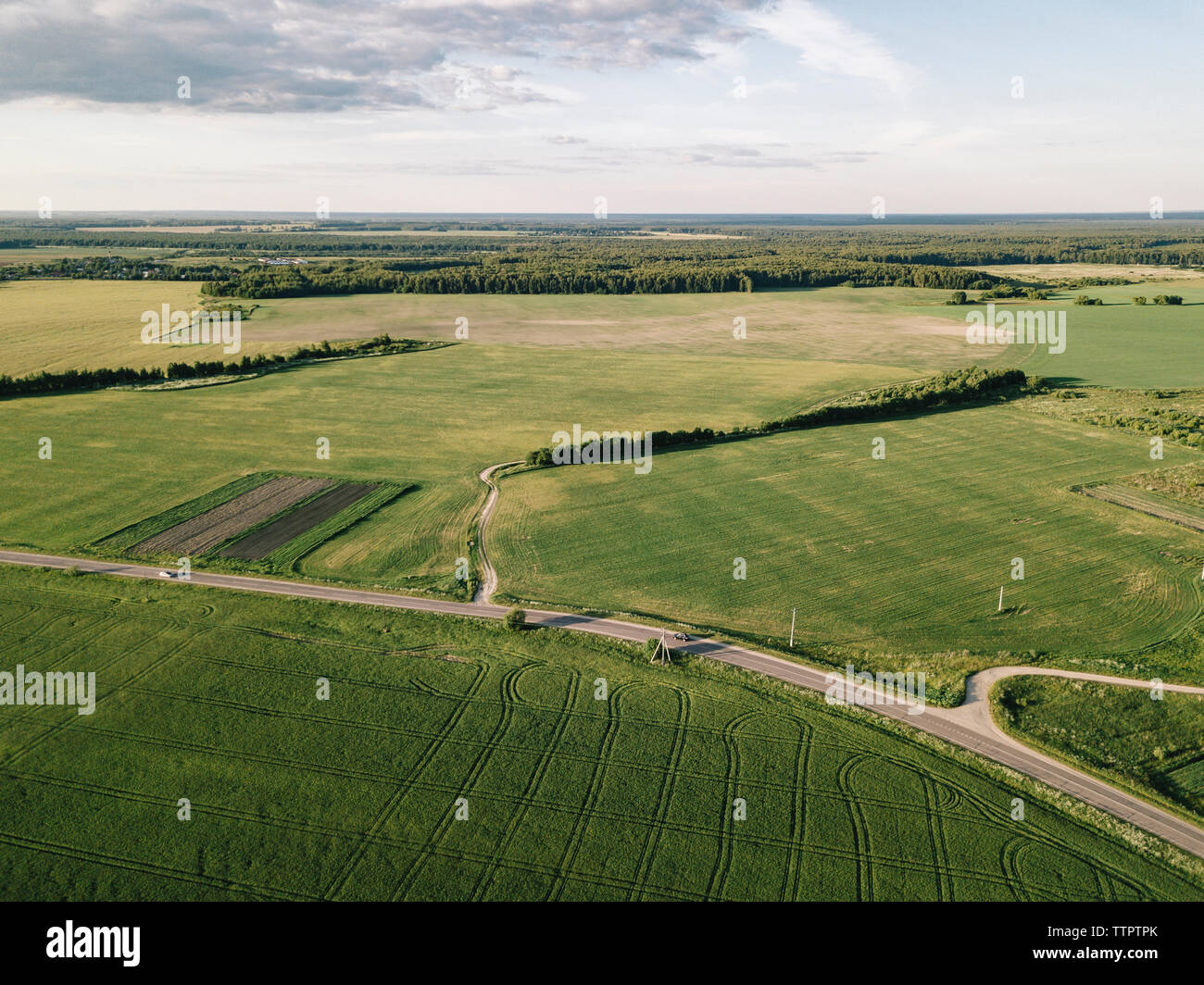 Green grass sunny sky hi-res stock photography and images - Alamy