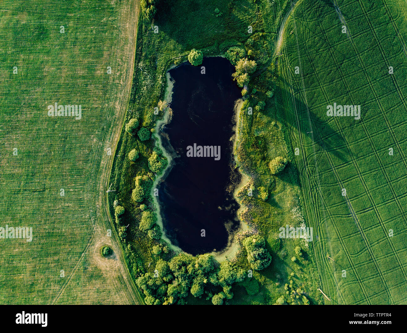 Green sunny hi-res stock photography and images - Alamy