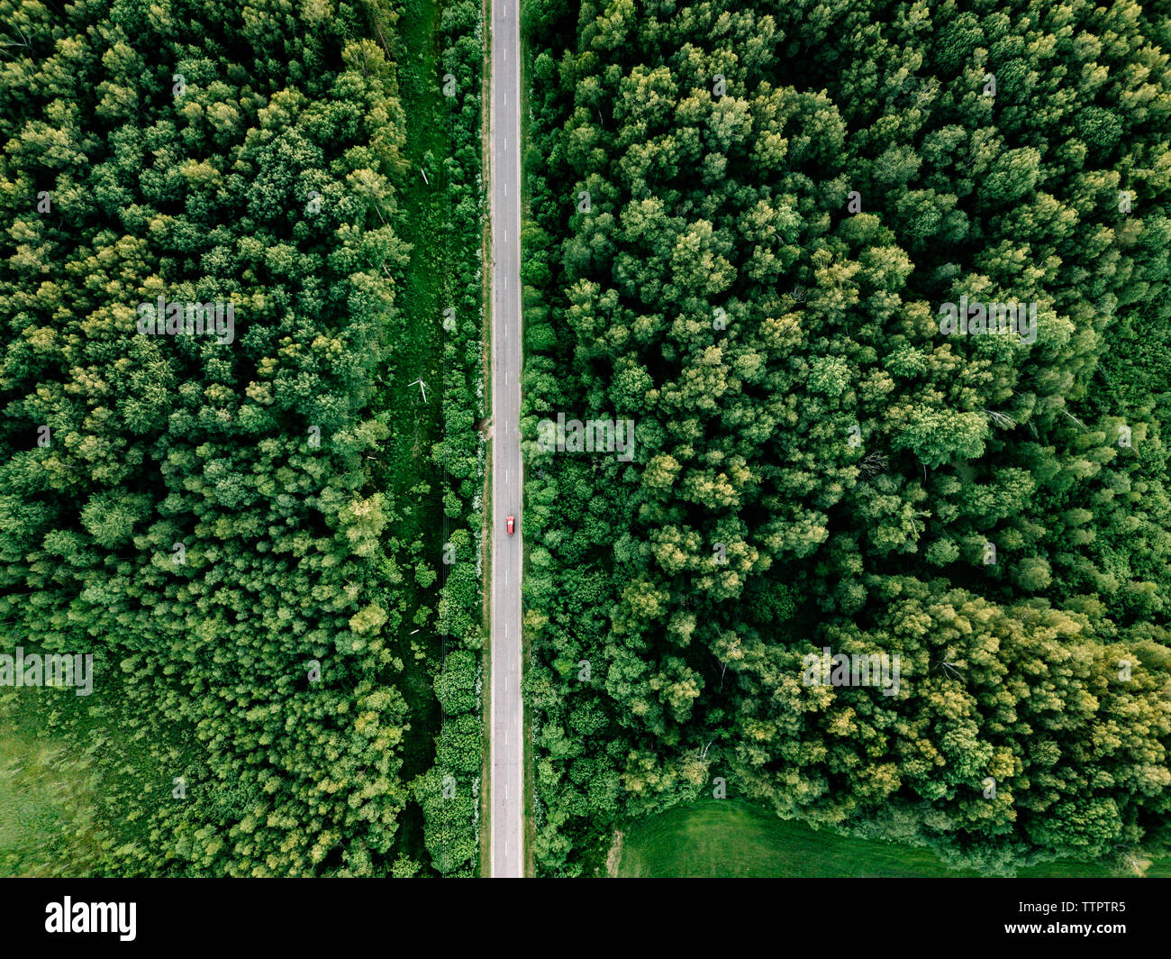 Aerial view of road amidst trees growing in forest Stock Photo - Alamy