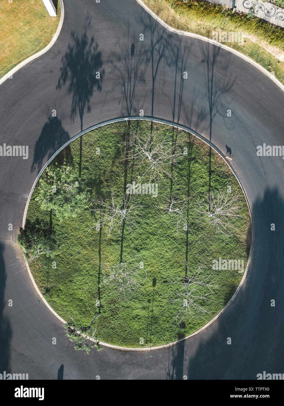 Aerial view of plants and trees growing amidst circle shaped empty road