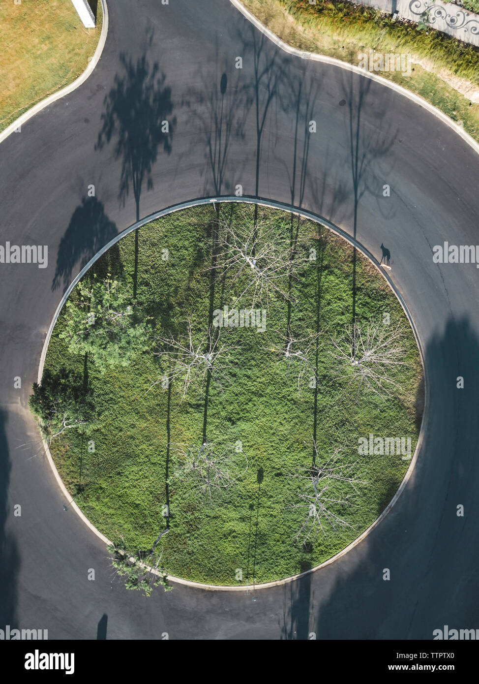 Aerial view of plants and trees growing amidst circle shaped empty road in park Stock Photo