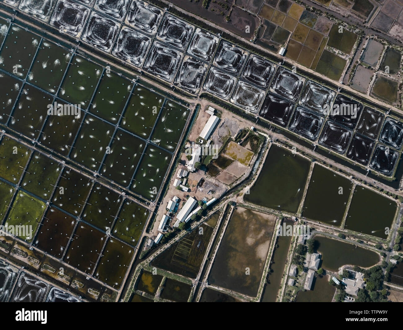 Aerial view of shrimp farm Stock Photo Alamy