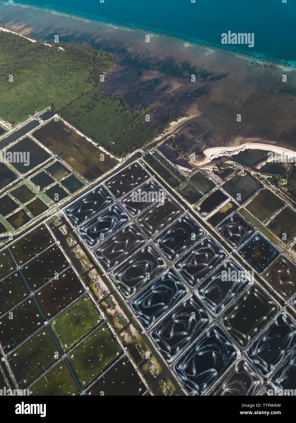 Aerial view of shrimp farm Stock Photo Alamy