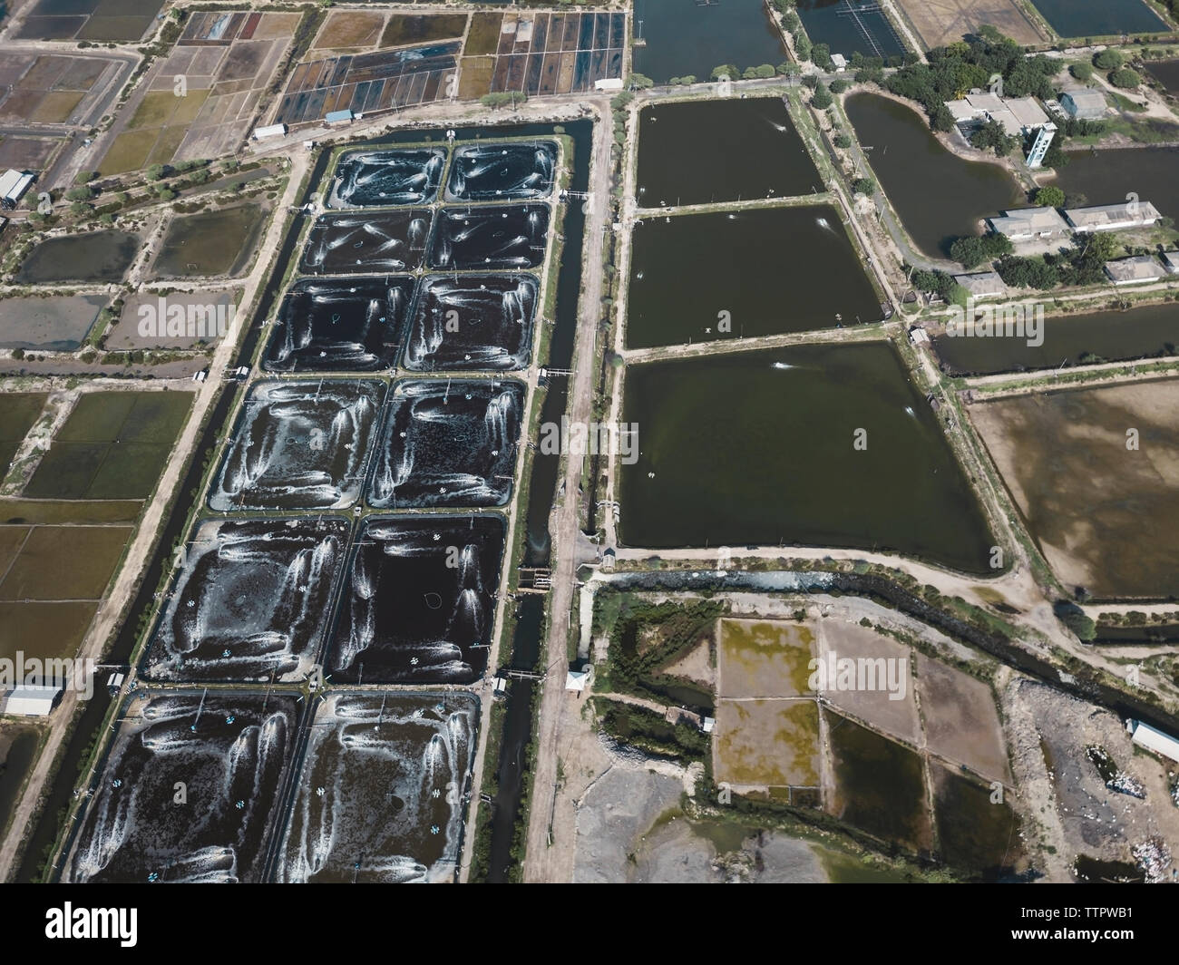 Aerial view of shrimp farm Stock Photo Alamy