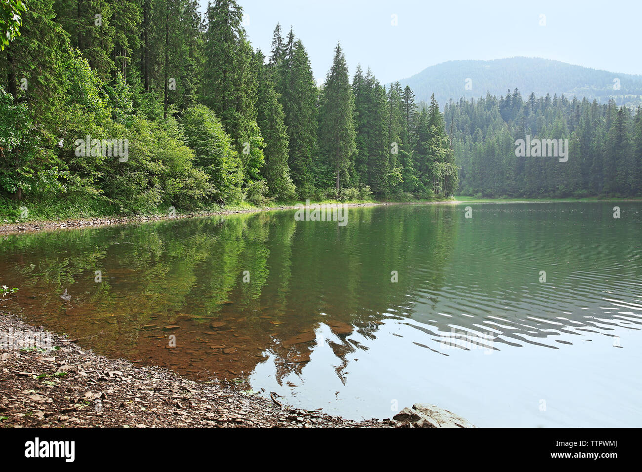 Beautiful mountain lake in forest Stock Photo - Alamy