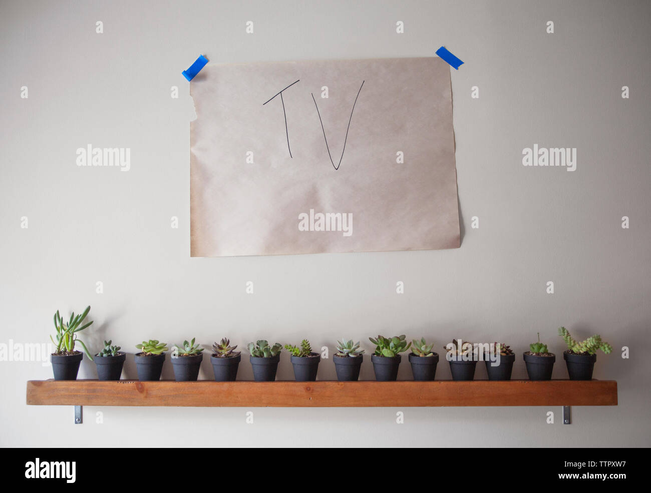 Paper with text stuck above plants on wall at home Stock Photo