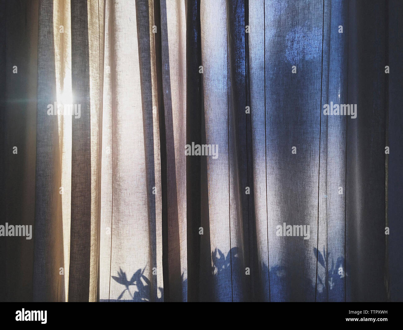 Sunlight streaming through curtain at home Stock Photo