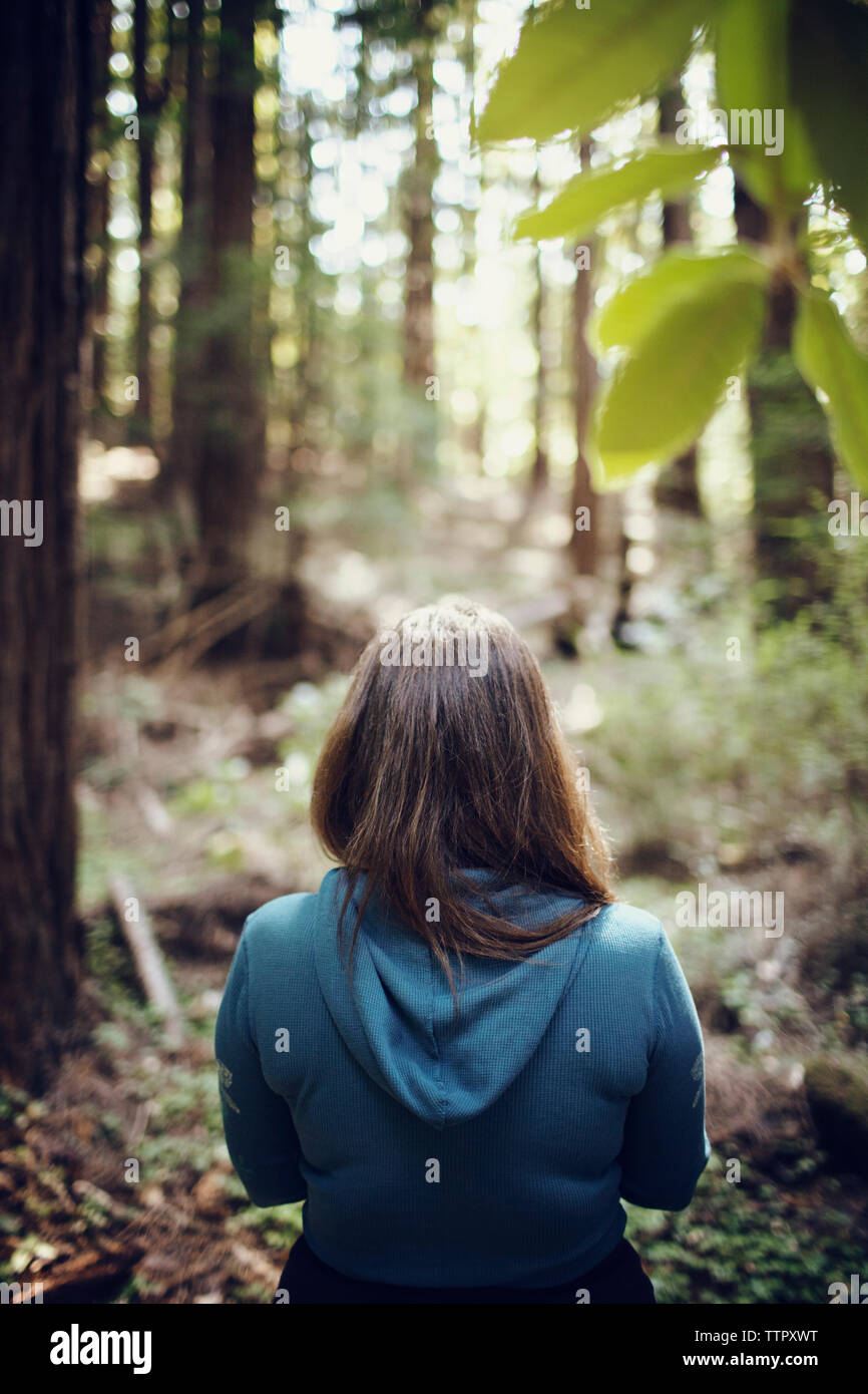 Woman brown hair rear view hi-res stock photography and images - Alamy