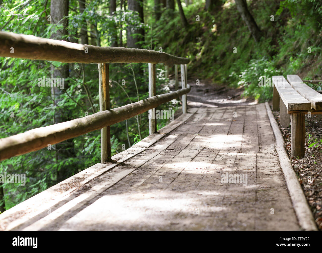 Wooden bridge in the forest Stock Photo - Alamy