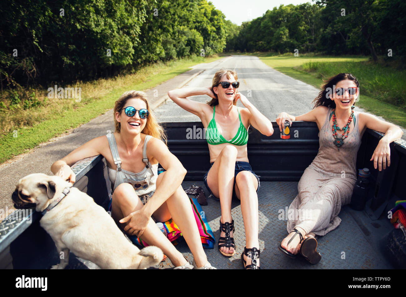 Female friends traveling in pick-up truck with pug Stock Photo