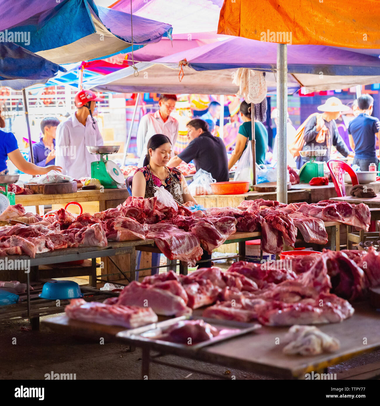 Woman selling raw meat at market, Bac Ha, Lao Cai Province, Vietnam, Asia, Stock Photo