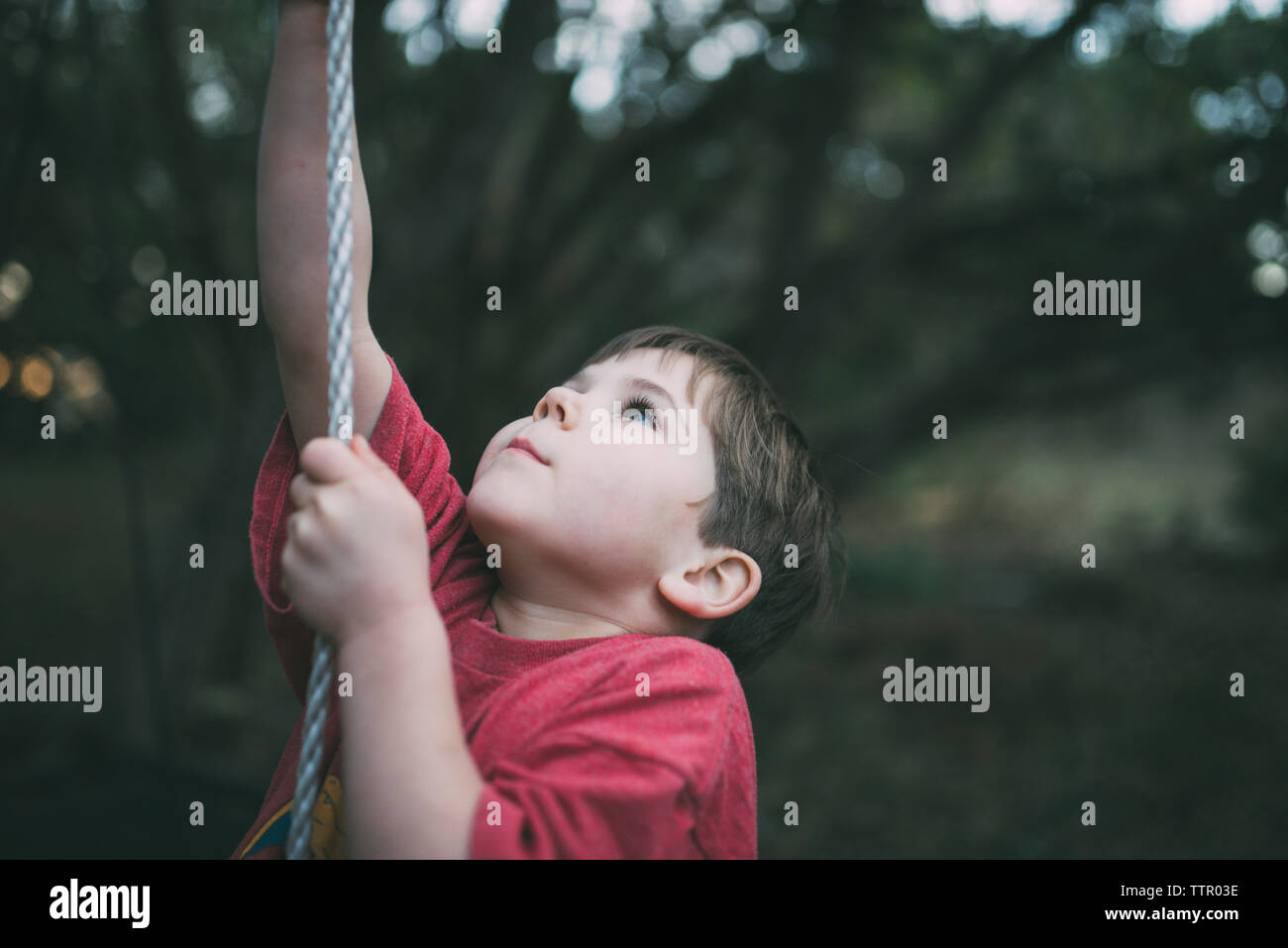 Cute boy looking up while climbing rope at playground Stock Photo