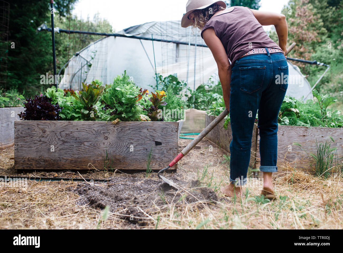 Woman Digging High Resolution Stock Photography And Images Alamy