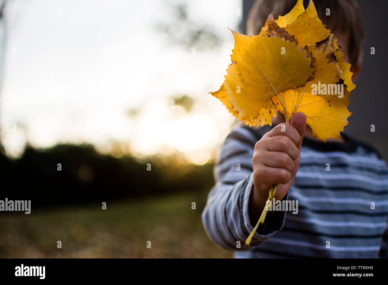 Holding leaves in front of face hi-res stock photography and images - Alamy