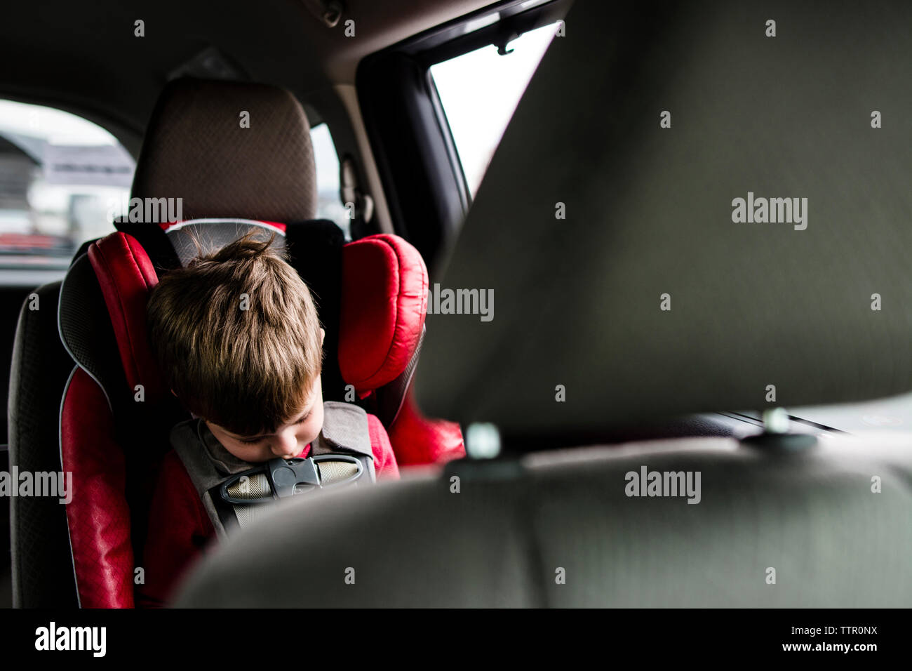 Boy sleeping while sitting in car Stock Photo