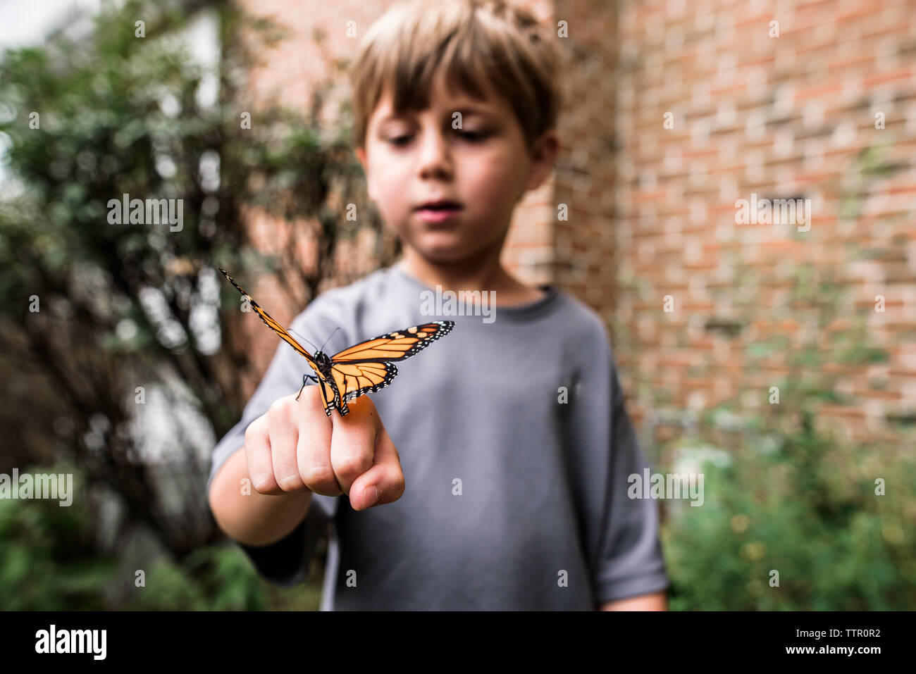 Monarch butterfly sitting on boy's hand as he looks on in wonder Stock Photo