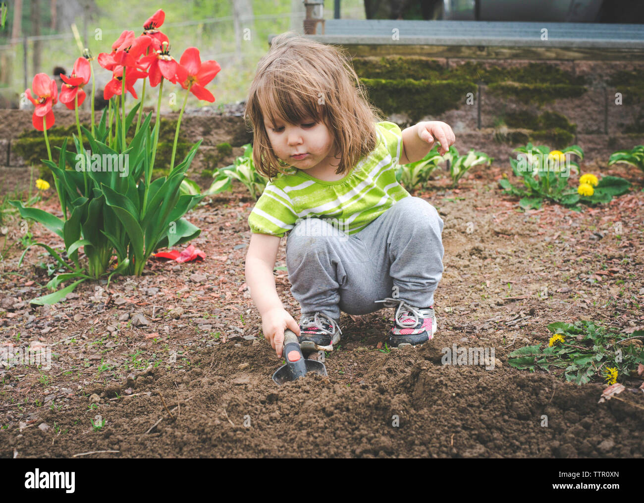 Cute girl digging soil with trowel while crouching in garden Stock Photo