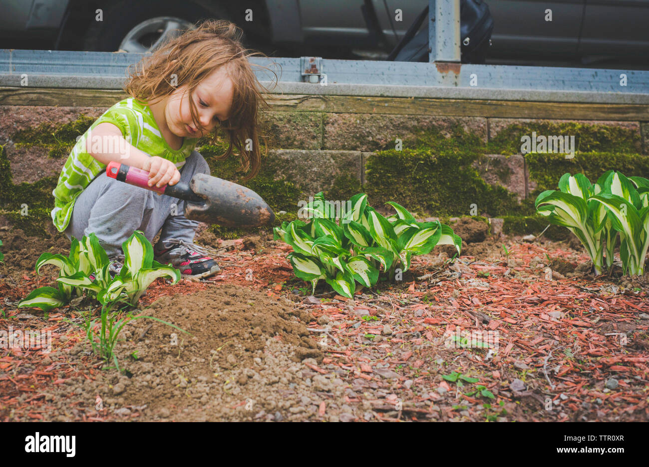 Girl digging soil with trowel while crouching in garden Stock Photo - Alamy